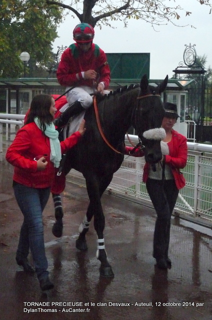 Photos Auteuil 12-10-2014 Tornade