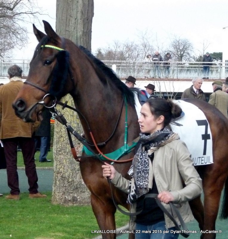 Photos Auteuil 22/03/2015 Lavalloise