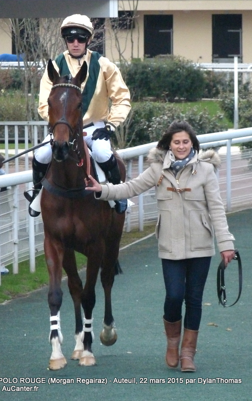 Photos Auteuil 22/03/2015 Polo2