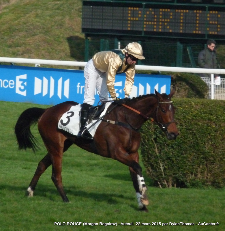 Photos Auteuil 22/03/2015 Polo6