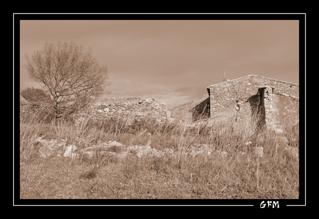 Nostalgie sous un ciel nuageux... P1020249c