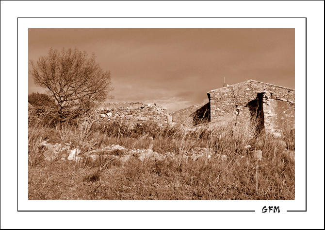 Nostalgie sous un ciel nuageux... P1020249ccc