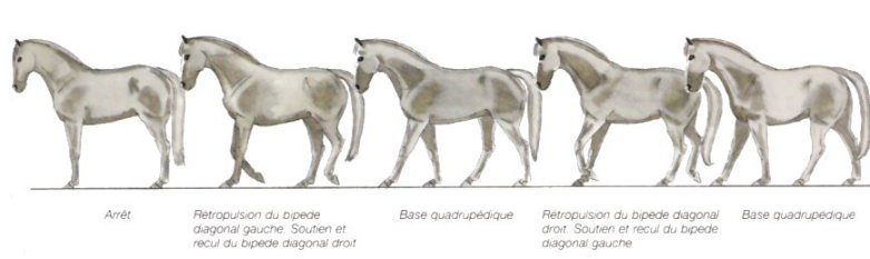 Le Sabots' Mag, troisime du nom. Reculer