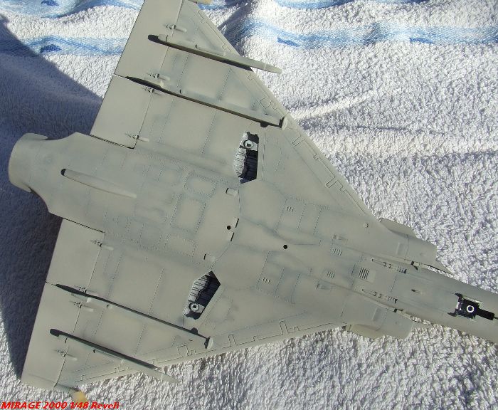 MIRAGE 2000C RDM - [Revell] - 1/48 - Page 2 Mirage2000-59