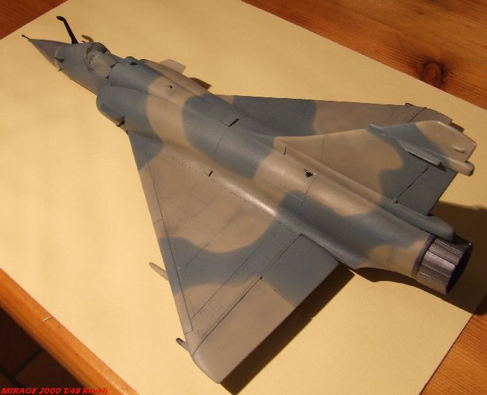 MIRAGE 2000C RDM - [Revell] - 1/48 - Page 3 Mirage2000-71