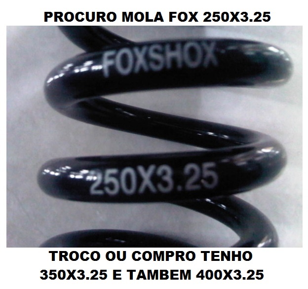 mola fox 250x3.25 P4pb8532160