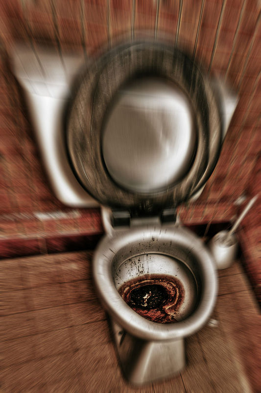 The worst toilet in Sanatoland P1130065h2