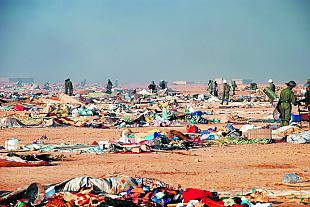 Λαϊκή εξέγερση και πολλοί νεκροί στη Δυτική Σαχάρα - καταστολή απο μαροκινό στρατό Thumb-2010110901395990_640