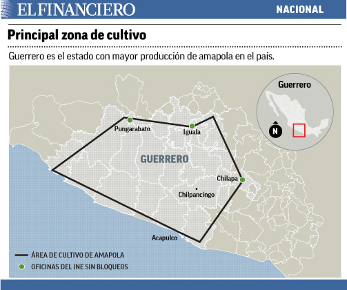 Guerrero - CETEG 'respeta' zonas de amapola en Guerrero Amapola1