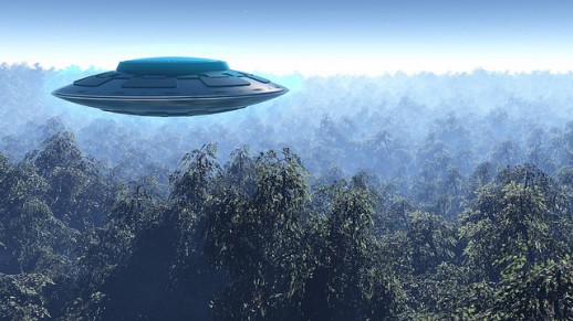 2015: le 04/08 à Environ 14h30 - Une soucoupe volante -  Ovnis à Belgique, Gilly -  - Page 4 UFO-Gralien-Trees-518x291