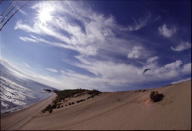 Les Dunes de Sable Dunes_tadoussac