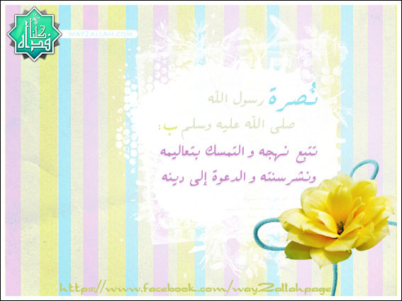 بطاقات حملة نصرةً للحبيب المصطفى صلى الله عليه و سلم 63