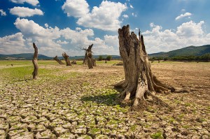 أزمة في نقص المياه أم أزمة في إدارة المياه في الوطن العربي؟ DRY4-300x199