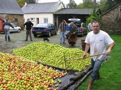 A BONNES POMMES « BON CIDRE » !!! Cidre400