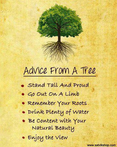 Advice from a Tree Advice-from-a-Tree-Earth.WeAreOne