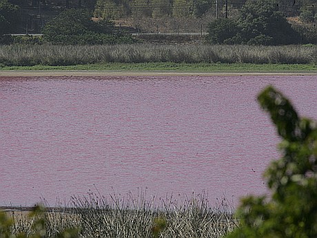 En Chile , Laguna " El Tabo" de color Rojizo por contaminacion? File_20120327164856