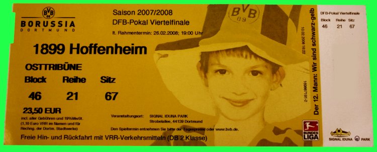 Из архивите..  Bvb-hoffenheim-p08