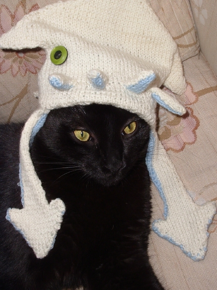 SPAM Cat%20Squid%20Hat