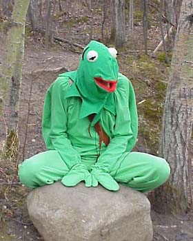 Pide un Cosplay!!! - Página 10 Kermit%20Cosplay%20Costume