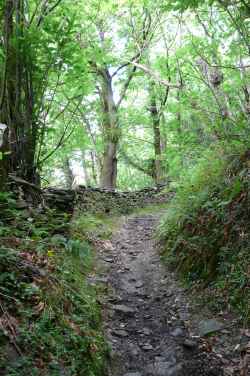 Camino de montaña Senderismo