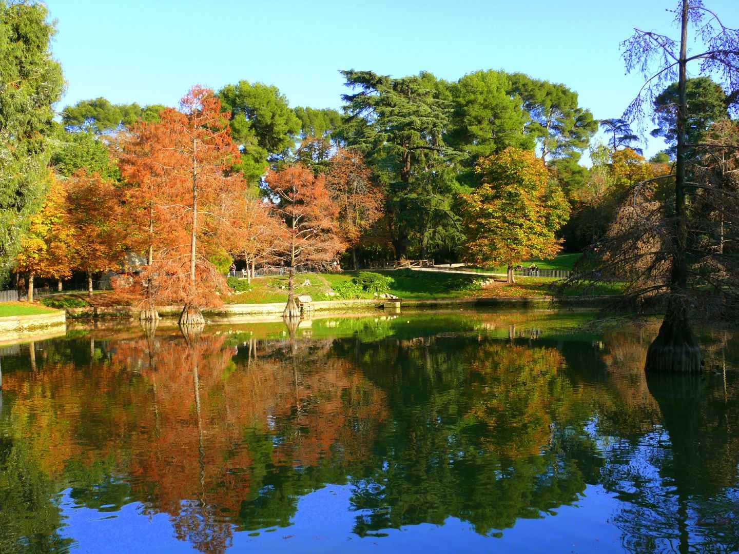 LUGARES  DE ENSUEÑO - Página 2 ElRetiro_big