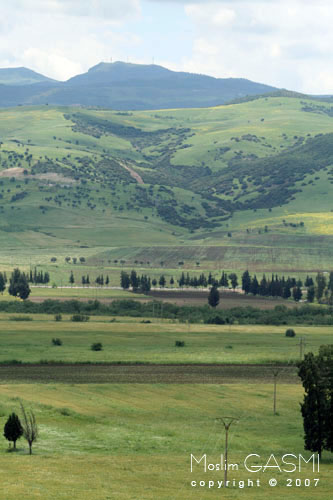 صور من الساحرة .....قالمة Guelma_2007_0156