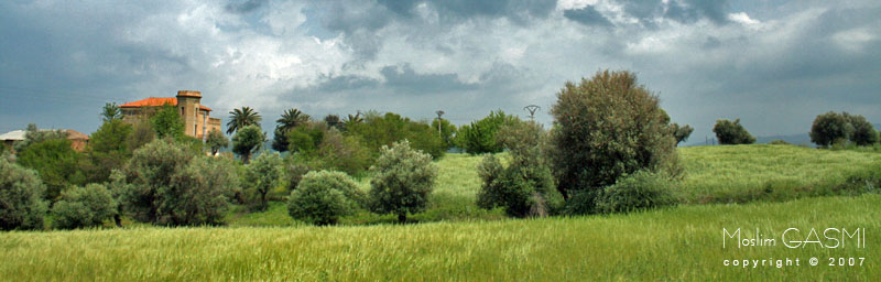 جبال جرجرة وقالمة Guelma_2007_0542