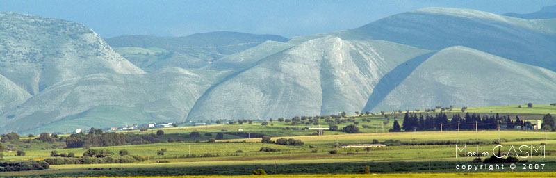 جبال جرجرة وقالمة Guelma_2007_0941