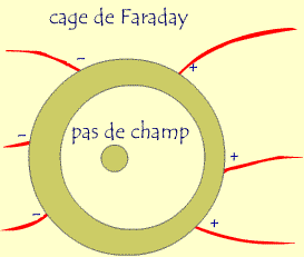 Topic Officiel - Page 4 Cage_faraday