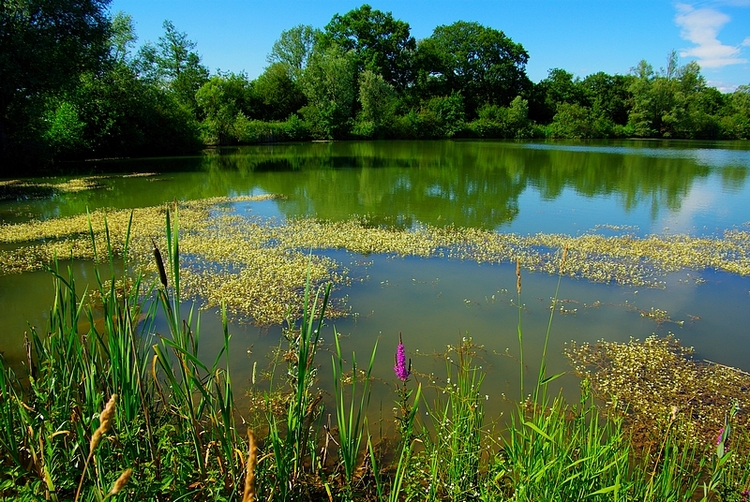 Concours photo - Sujet concret d'Avril : Le printemps. Résultats.  Ac3c82e76207c1c4a8769e392455b9cf