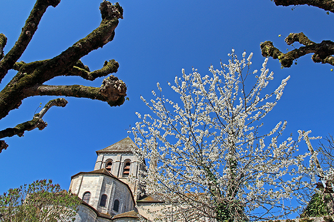 Concours photo - Sujet concret d'Avril : Le printemps. Résultats.  C11a6688b282aebc83701e7e14607254