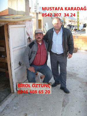 BROL ZTUN (AYDIN) Normal_S7300666