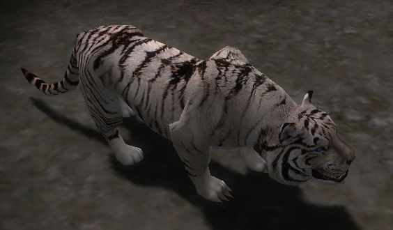 Les pet Faction White_Tiger