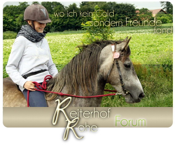 Reiterhof Rohe - Forum