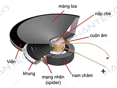 Loa phóng thanh có những loại nào? Ứng dụng của nó trong đời sống hiện nay Cau-tao-va-nguyen-ly-hoat-dong-cua-loa-pin-cam-tay-mini-1