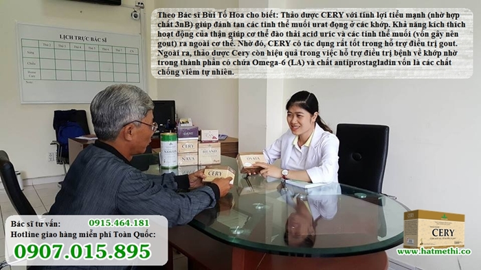 Thảo dược CERY giải pháp điều trị bệnh gout, khớp tại nhà CERY_bac%20si%20tu%20van%20700x394
