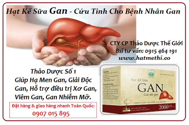 Hạt kế sữa (cúc gai) cứu tinh cho bệnh nhân gan Hat_ke_sua_gan