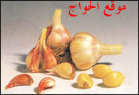 صور اعشاب صو اعشاب Image001