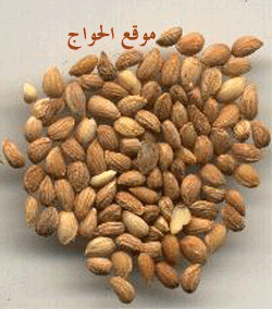 صور اعشاب صو اعشاب Mahlab