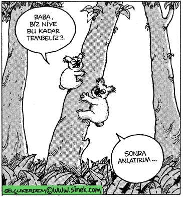 KOMİK KARİKATÜRLER-3 Gulme-krizine-sokan-en-komik-karikaturler-27