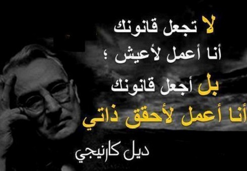 لا تجعل قانوؤونكـ، %D8%AF%D9%8A%D9%84-%D9%83%D8%A7%D8%B1%D9%86%D9%8A%D8%AC%D9%8A_6691