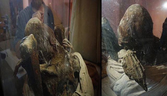 Secret Mummy Discovered!!! Mummy-peru-extraterrestrial-being-giants_orig