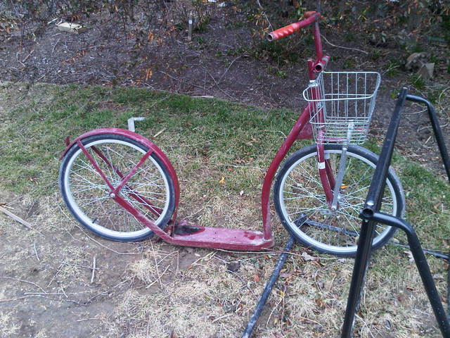 Chez les Amish en Pennsylvanie Amish-2