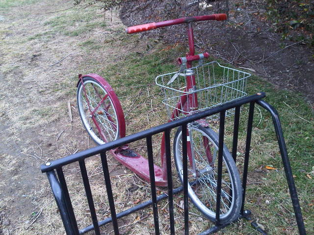 Chez les Amish en Pennsylvanie Amish-3