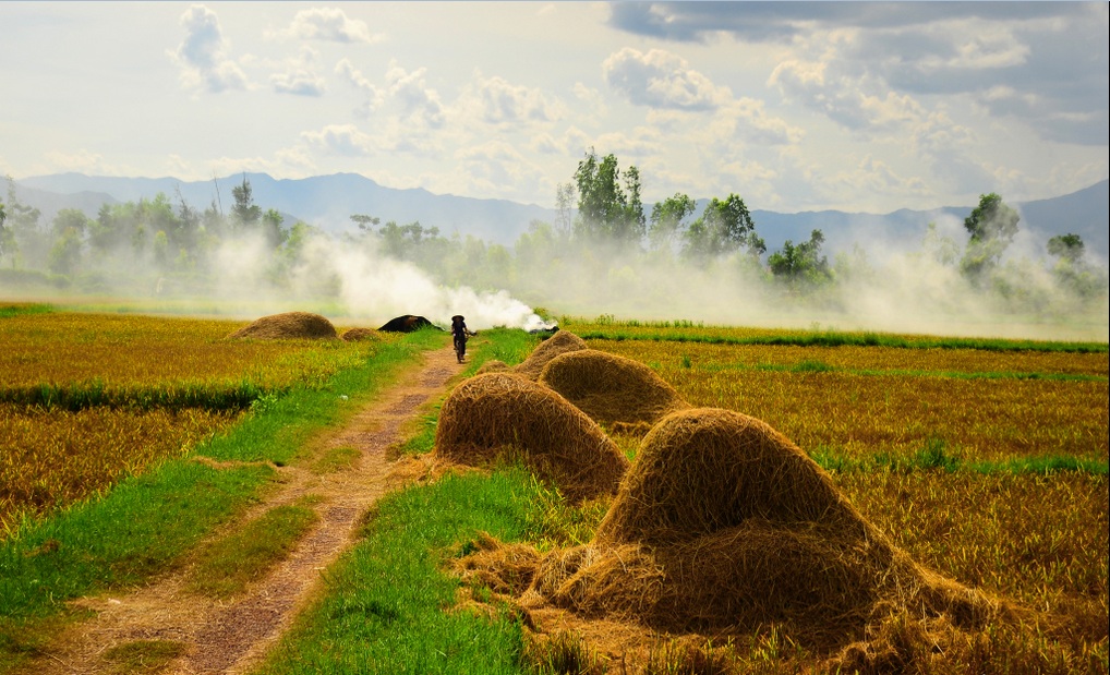 GOOD MORNING VIET NAM 2015 Khoi-chieu