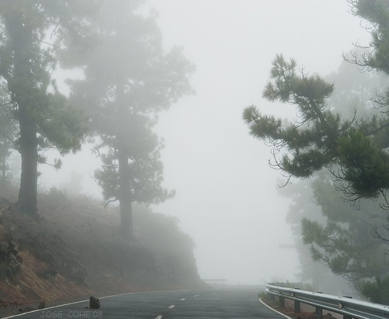 LA PALMA (Caminos con niebla) Niebla_4_W