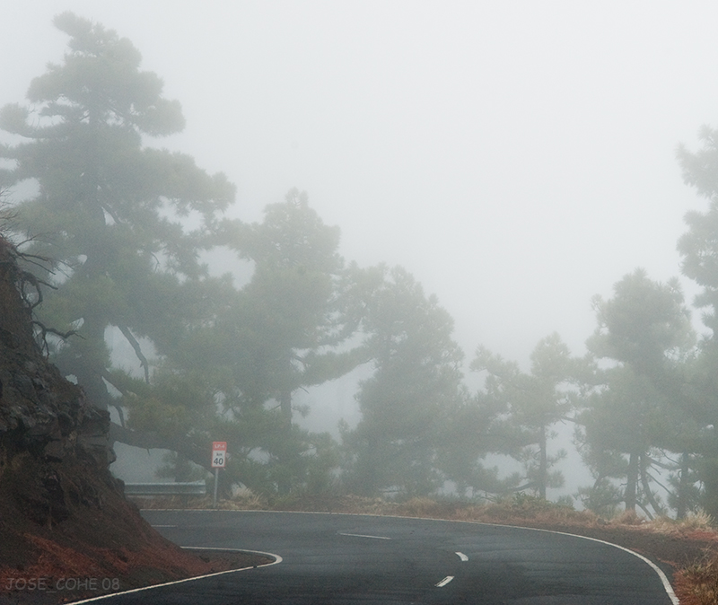 LA PALMA (Caminos con niebla) Niebla_5_W