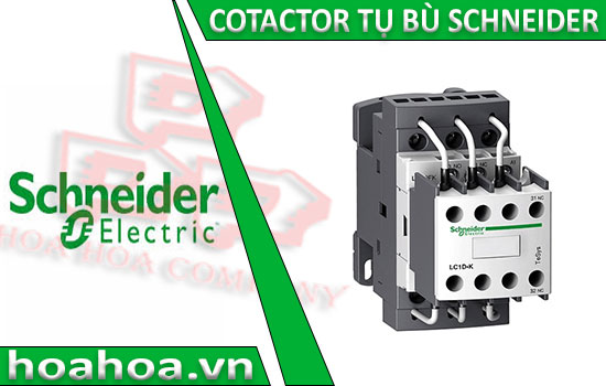 Máy móc công nghiệp: Contactor Tụ Bù, Các dòng sản phẩm Contactor chất lượng cao Contactor-tu-bu-Schneider