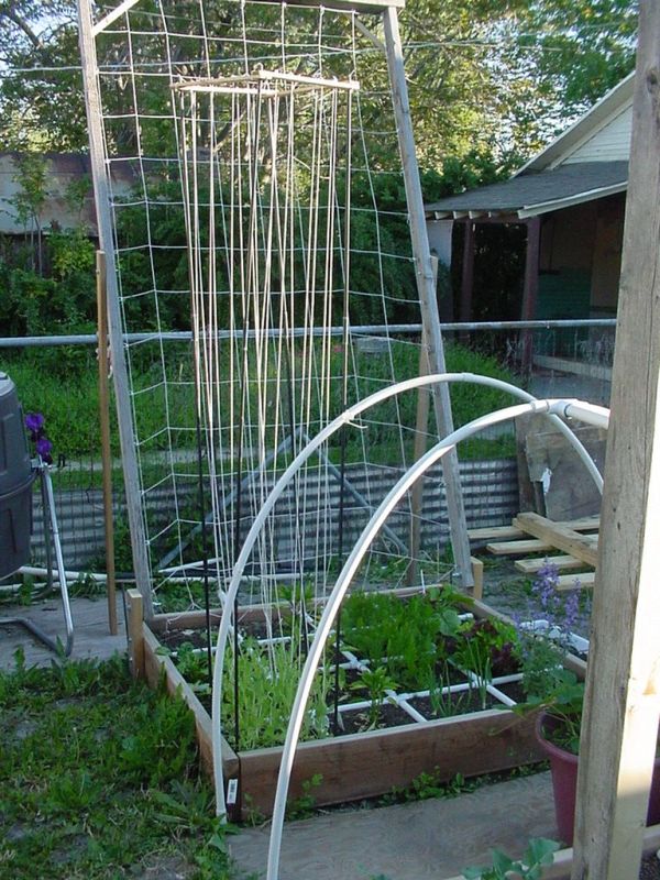 Peas and Trellises SFG-06-07-11