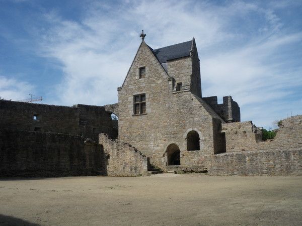 Château Médiéval de Clisson ** Loire Atlantique ** 043d2455